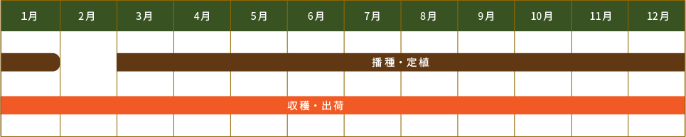 青ネギ