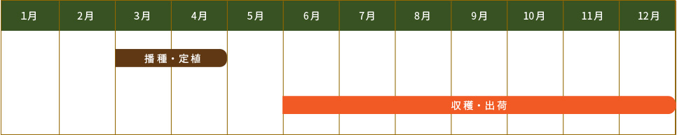 ニラ